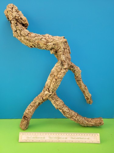 Cork bark branch - branch, snake