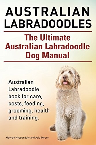 Australian labradoodles the - australian, labradoodles.
