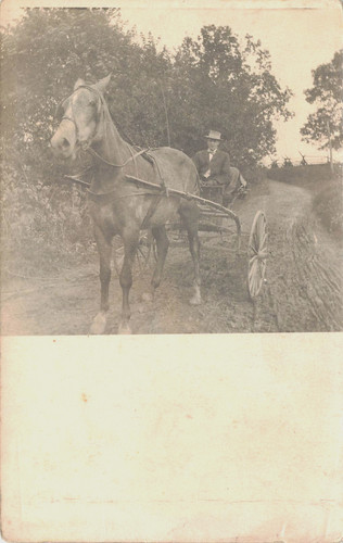 Horse pulled single seat - horse,