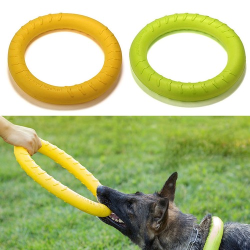 Dog ring toy flying - ring,