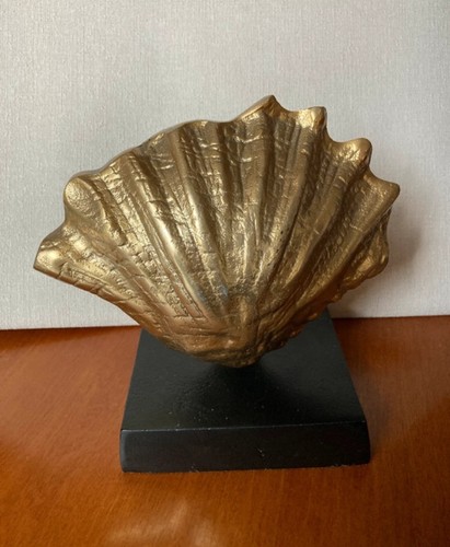 Vintage unique sea shell - sea, clam