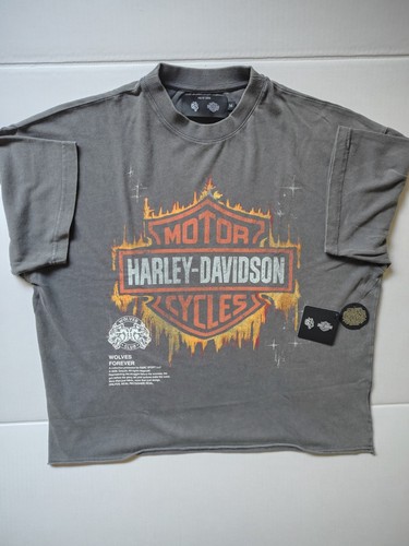 Harley davidson darc - x,