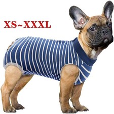 Pet Dog Recovery Suit Wound
