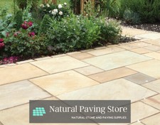 Fossil Mint Indian sandstone