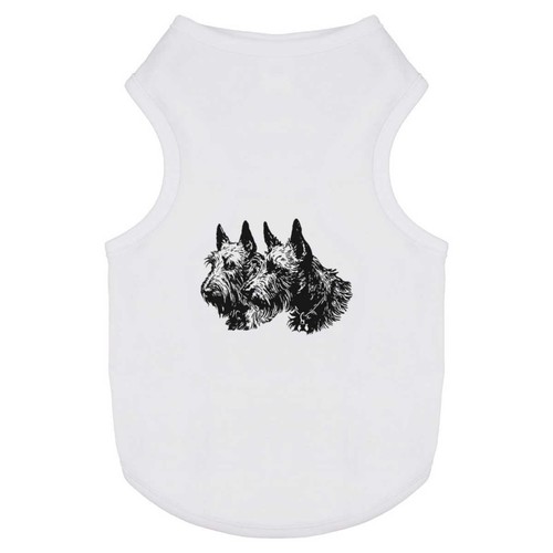 Scottish terrier couple pet - 'scottish,