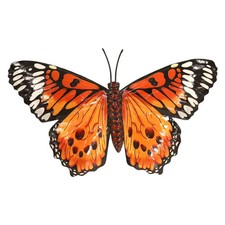 Primus Medium Metal Butterfly