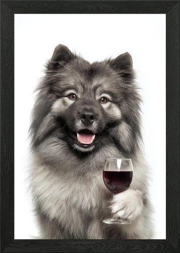 Keeshond dog holding - , glass