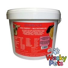 SHEEP EWE LAMB CATTLE HORSE