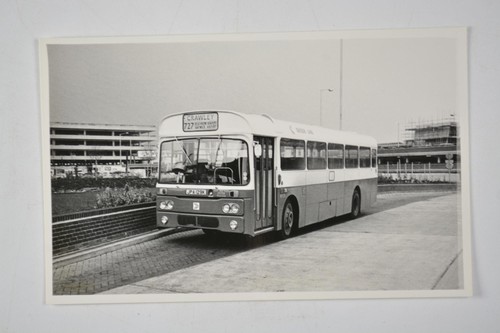 Green line bus crawley - bus,