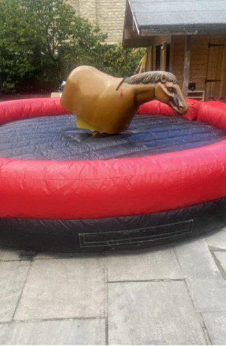 Rodeo horse with control unit - with,