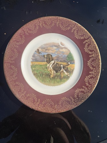 Vintage springer spaniel - springer,
