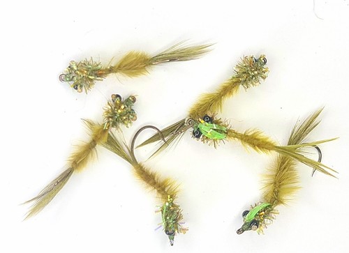 Trout flies damsel swimming - trout,