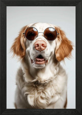 Cool Clumber Spaniel Dog with