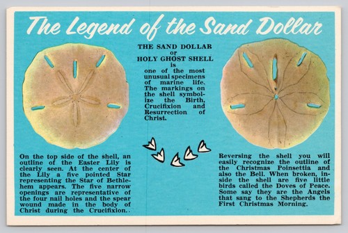 The legend sand dollar - legend,