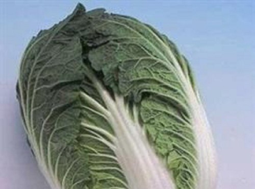 Chinese cabbage veg - 3,