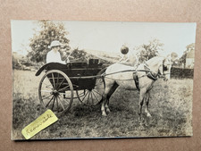 OLD PHOTO WOMAN HORSE CARRIAGE ANIMAL SOCIAL HISTORY PS 76