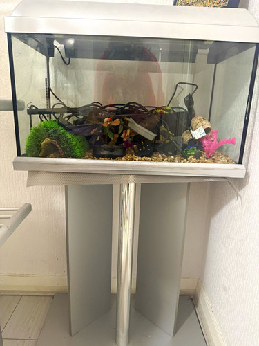220l glass freshwater aquarium - 220l,