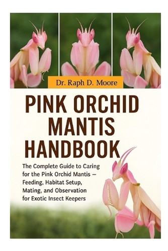 Pink orchid mantis - pink, the