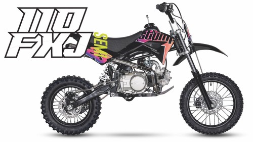 2025 graphics 110cc stomp - 2025,