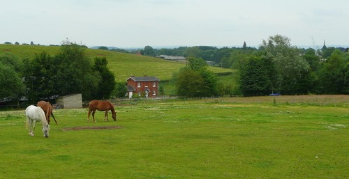 Photo 6x4 view - photo,
