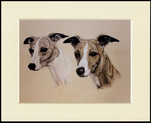 Whippet dog art - dog,