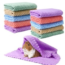 10Pcs Guinea Pig Fleece