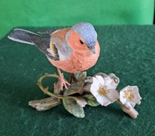 Country Artists Bird, CA04982