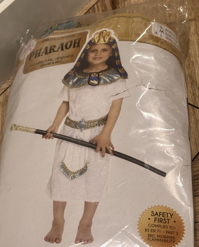 Kids egyptian pharaoh costume - kids,
