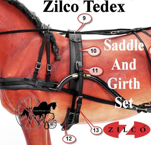 Horse harness saddle and - horse,