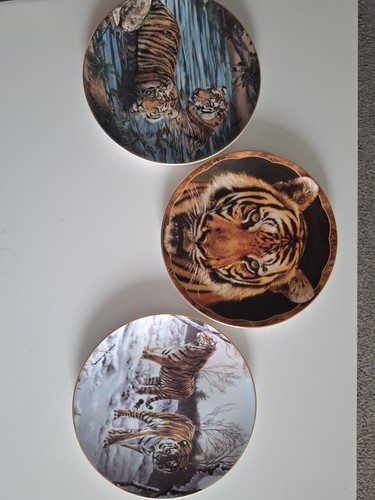 Decorative tiger plates - decorative,