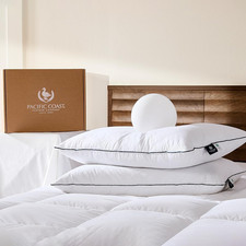 Premium Goose Feather & down