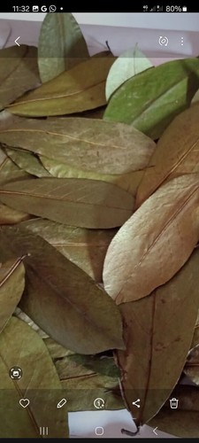 Organic dehydratedsoursop - organic,