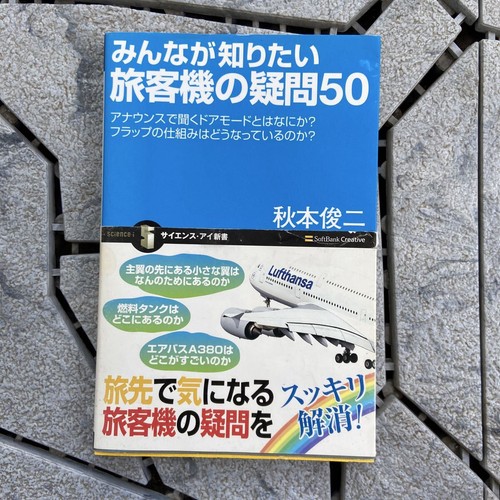 Passenger aircraft - passenger,