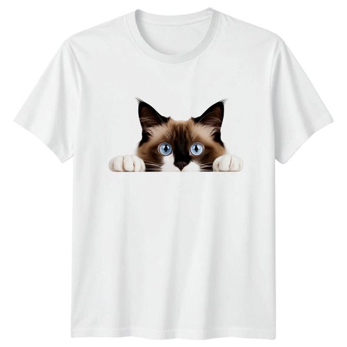 Peeking ragdoll cat - peeking,