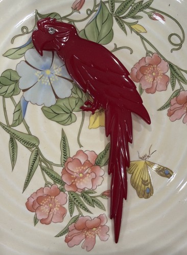 Vintage parrot bird red - vintage,