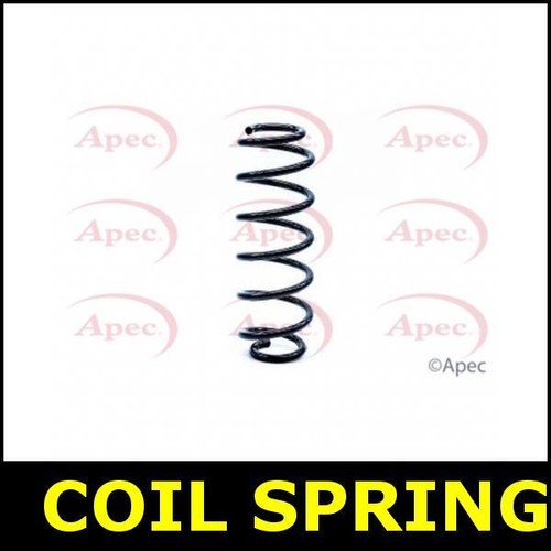 Coil spring rear - coil, for