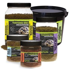 Komodo Tortoise Food Holistic