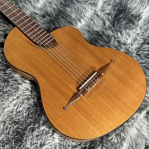Rick turner renaissance 6 - rick,
