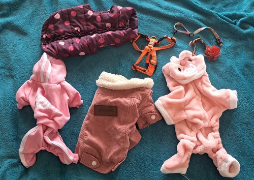 Joblot bundle dog - of,