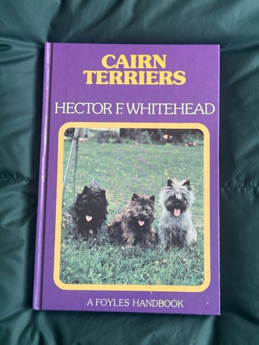 Cairn terriers hector f - hector,