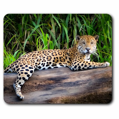 Computer mouse mat - mat,