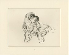 COCKER SPANIEL VINTAGE 1937