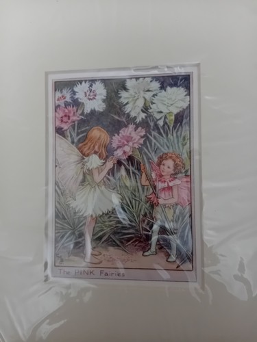 The pink fairies print - the, by