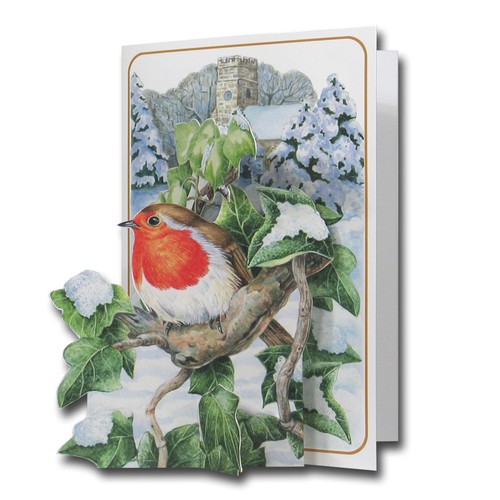 Christmas robin pictoria - -,