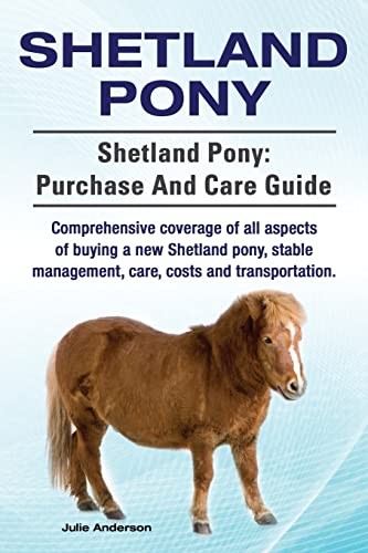 Shetland pony - shetland,
