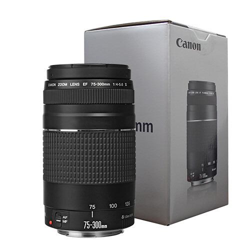 Canon 300mm 5 6 - canon, iii