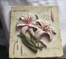 M&S St Michael Pink Lily