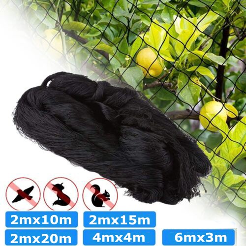 Garden bird netting pond - bird,