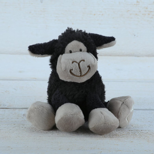 Black sheep - black,