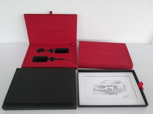 Genuine jaguar car - jaguar,
